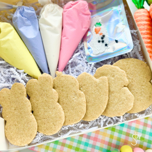 Easter DIY Sugar Cookie Kit